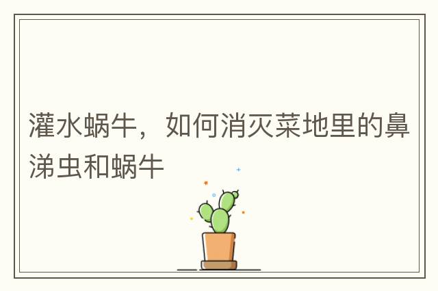 灌水蝸牛，如何消滅菜地里的鼻涕蟲(chóng)和蝸牛