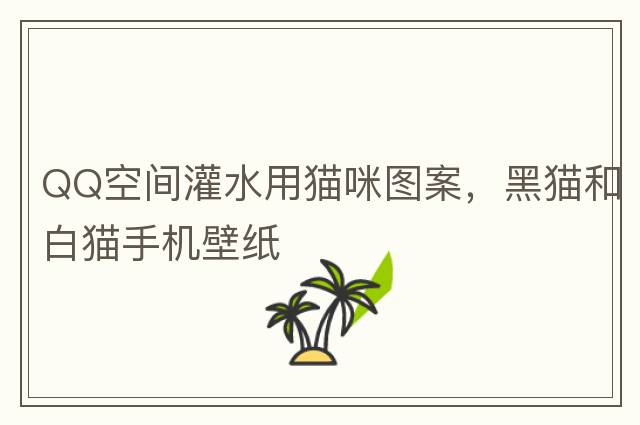 QQ空間灌水用貓咪圖案，黑貓和白貓手機(jī)壁紙