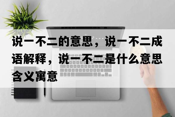 說一不二的意思，說一不二成語(yǔ)解釋，說一不二是什么意思含義寓意
