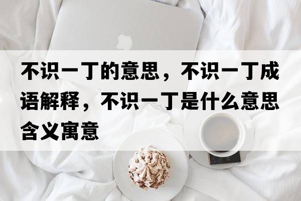 不識(shí)一丁的意思，不識(shí)一丁成語解釋，不識(shí)一丁是什么意思含義寓意