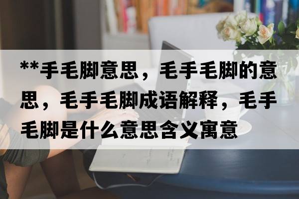 **手毛腳意思，毛手毛腳的意思，毛手毛腳成語(yǔ)解釋?zhuān)置_是什么意思含義寓意