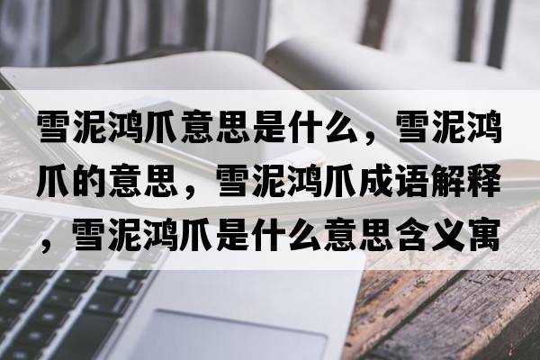 雪泥鴻爪意思是什么，雪泥鴻爪的意思，雪泥鴻爪成語解釋，雪泥鴻爪是什么意思含義寓意