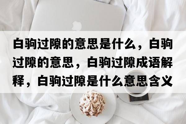 白駒過(guò)隙的意思是什么，白駒過(guò)隙的意思，白駒過(guò)隙成語(yǔ)解釋，白駒過(guò)隙是什么意思含義寓意