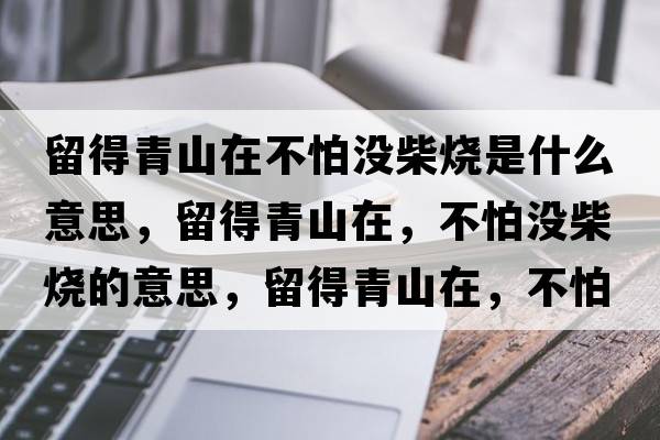 留得青山在不怕沒柴燒是什么意思，留得青山在，不怕沒柴燒的意思，留得青山在，不怕沒柴燒成語解釋，留得青山在，不怕沒柴燒是什么意思含義寓意