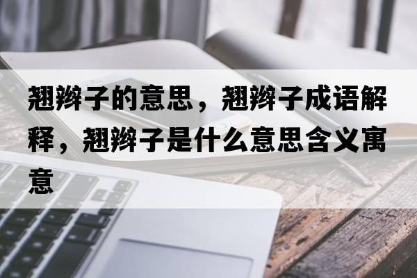 翹辮子的意思，翹辮子成語解釋，翹辮子是什么意思含義寓意