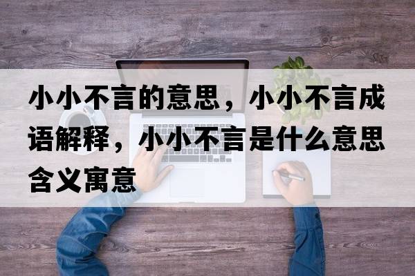 小小不言的意思，小小不言成語解釋，小小不言是什么意思含義寓意