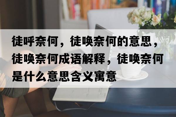 徒呼奈何，徒喚奈何的意思，徒喚奈何成語解釋，徒喚奈何是什么意思含義寓意