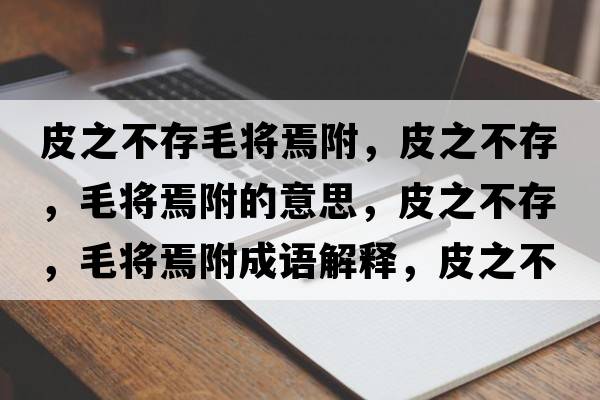 皮之不存毛將焉附，皮之不存，毛將焉附的意思，皮之不存，毛將焉附成語(yǔ)解釋，皮之不存，毛將焉附是什么意思含義寓意