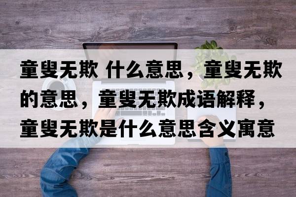 童叟無欺 什么意思，童叟無欺的意思，童叟無欺成語解釋，童叟無欺是什么意思含義寓意