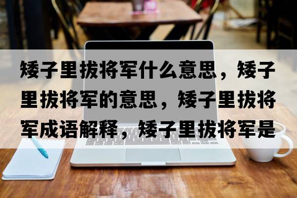 矮子里拔將軍什么意思，矮子里拔將軍的意思，矮子里拔將軍成語解釋，矮子里拔將軍是什么意思含義寓意