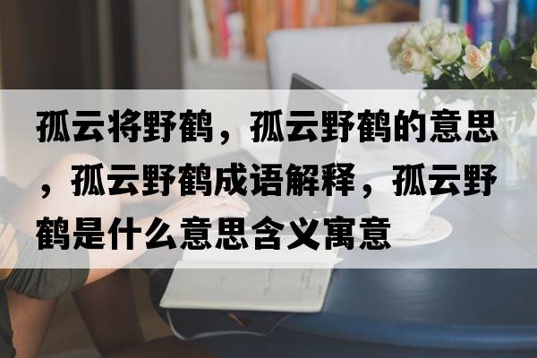 孤云將野鶴，孤云野鶴的意思，孤云野鶴成語解釋，孤云野鶴是什么意思含義寓意