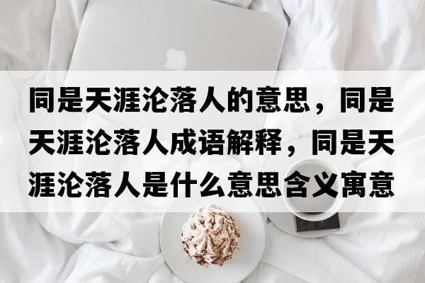 同是天涯淪落人的意思，同是天涯淪落人成語解釋，同是天涯淪落人是什么意思含義寓意