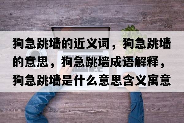狗急跳墻的近義詞，狗急跳墻的意思，狗急跳墻成語(yǔ)解釋，狗急跳墻是什么意思含義寓意