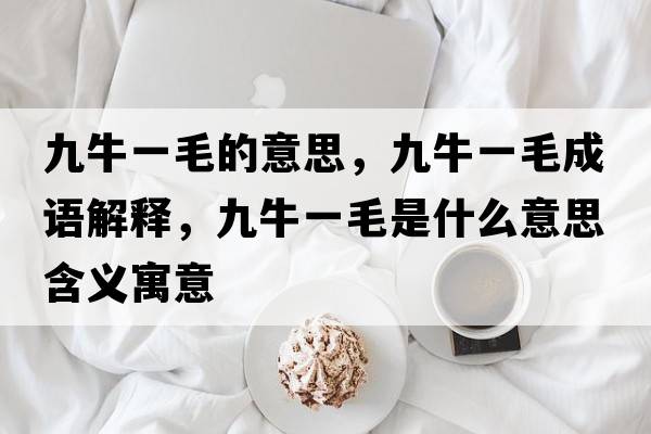 九牛一毛的意思，九牛一毛成語(yǔ)解釋，九牛一毛是什么意思含義寓意