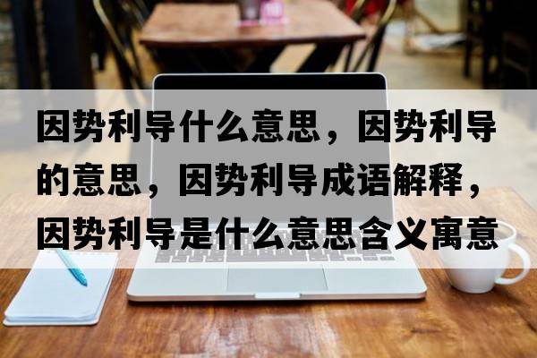 因勢利導(dǎo)什么意思，因勢利導(dǎo)的意思，因勢利導(dǎo)成語解釋，因勢利導(dǎo)是什么意思含義寓意