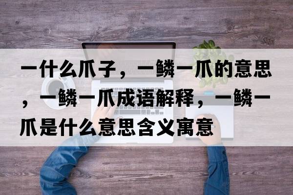 一什么爪子，一鱗一爪的意思，一鱗一爪成語解釋，一鱗一爪是什么意思含義寓意