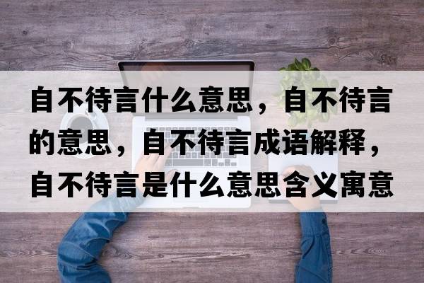 自不待言什么意思，自不待言的意思，自不待言成語解釋，自不待言是什么意思含義寓意
