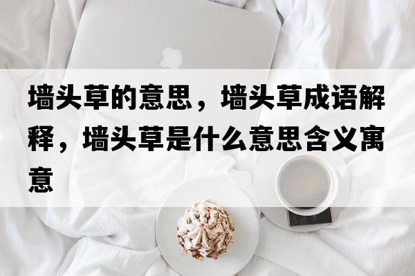 墻頭草的意思，墻頭草成語解釋，墻頭草是什么意思含義寓意