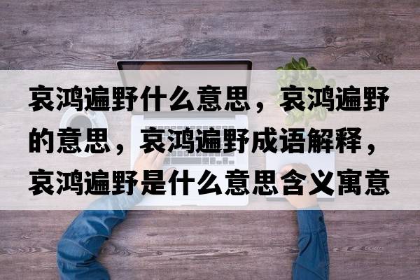 哀鴻遍野什么意思，哀鴻遍野的意思，哀鴻遍野成語解釋，哀鴻遍野是什么意思含義寓意