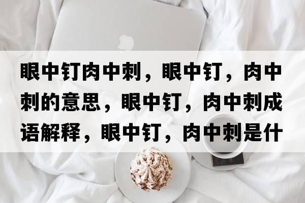 眼中釘肉中刺，眼中釘，肉中刺的意思，眼中釘，肉中刺成語解釋，眼中釘，肉中刺是什么意思含義寓意