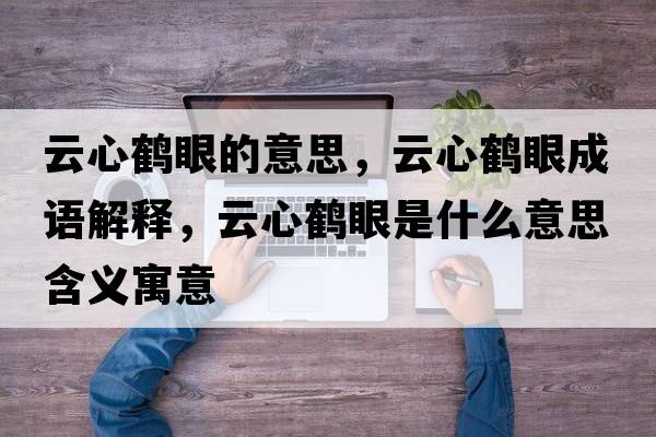 云心鶴眼的意思，云心鶴眼成語解釋，云心鶴眼是什么意思含義寓意
