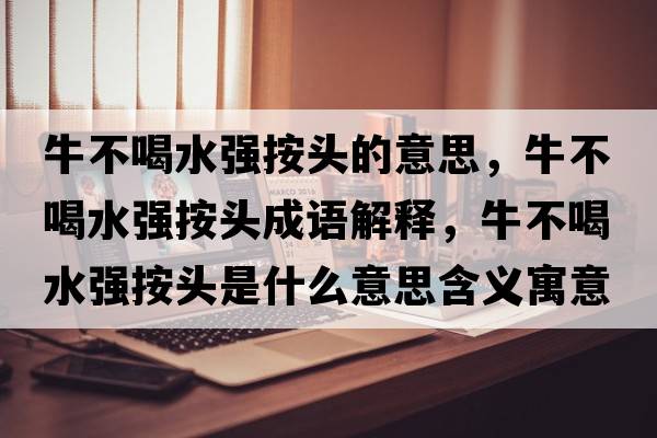 牛不喝水強(qiáng)按頭的意思，牛不喝水強(qiáng)按頭成語解釋，牛不喝水強(qiáng)按頭是什么意思含義寓意