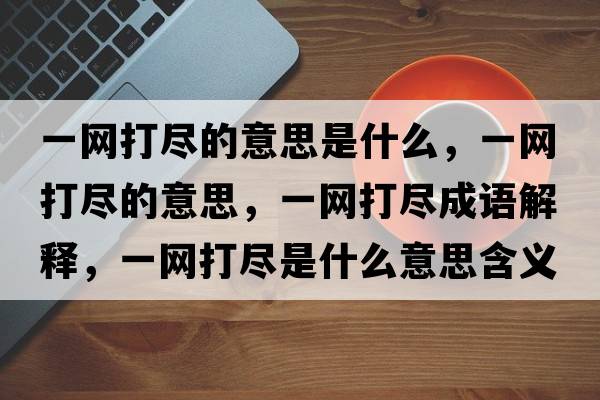 一網(wǎng)打盡的意思是什么，一網(wǎng)打盡的意思，一網(wǎng)打盡成語解釋，一網(wǎng)打盡是什么意思含義寓意