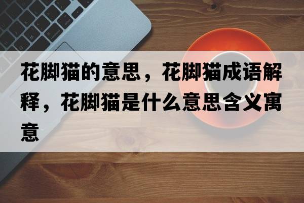 花腳貓的意思，花腳貓成語解釋，花腳貓是什么意思含義寓意