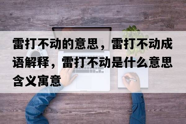 雷打不動(dòng)的意思，雷打不動(dòng)成語(yǔ)解釋，雷打不動(dòng)是什么意思含義寓意