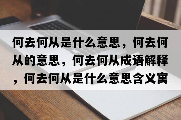 何去何從是什么意思，何去何從的意思，何去何從成語解釋，何去何從是什么意思含義寓意