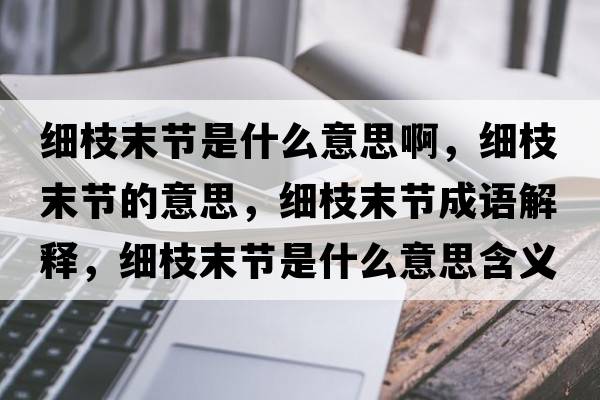 細(xì)枝末節(jié)是什么意思啊，細(xì)枝末節(jié)的意思，細(xì)枝末節(jié)成語(yǔ)解釋，細(xì)枝末節(jié)是什么意思含義寓意