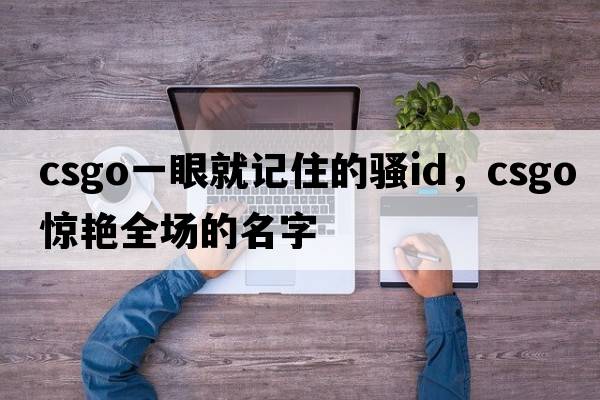 csgo一眼就記住的騷id，csgo驚艷全場的名字