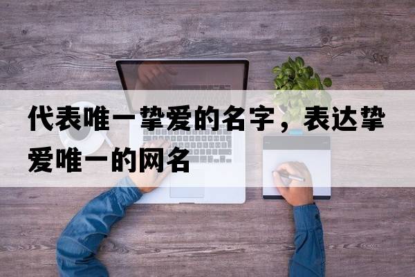 代表唯一摯愛的名字，表達摯愛唯一的網(wǎng)名