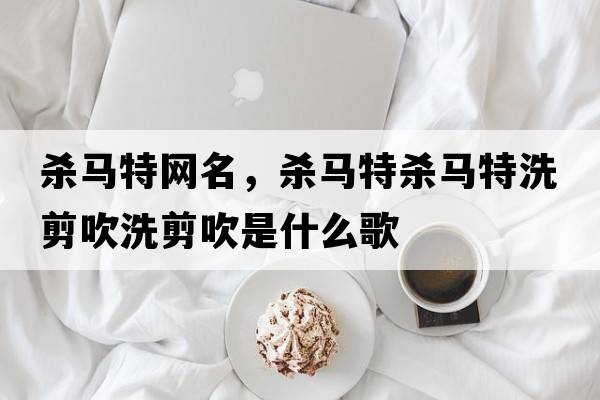 殺馬特網(wǎng)名，殺馬特殺馬特洗剪吹洗剪吹是什么歌