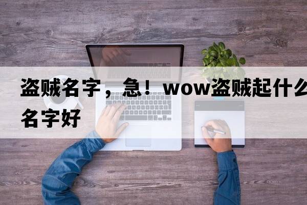 盜賊名字，急！WOW盜賊起什么名字好