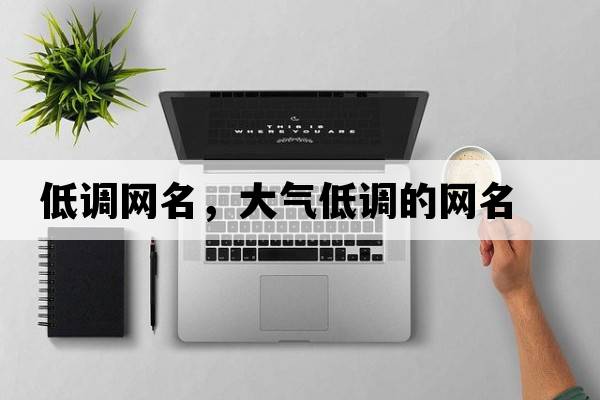 低調(diào)網(wǎng)名，大氣低調(diào)的網(wǎng)名