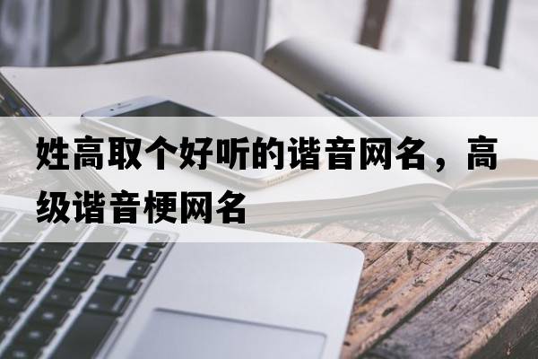 姓高取個好聽的諧音網(wǎng)名，高級諧音梗網(wǎng)名