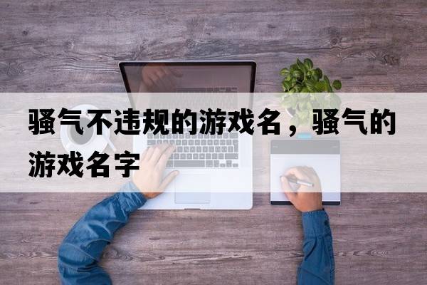 騷氣不違規(guī)的游戲名，騷氣的游戲名字