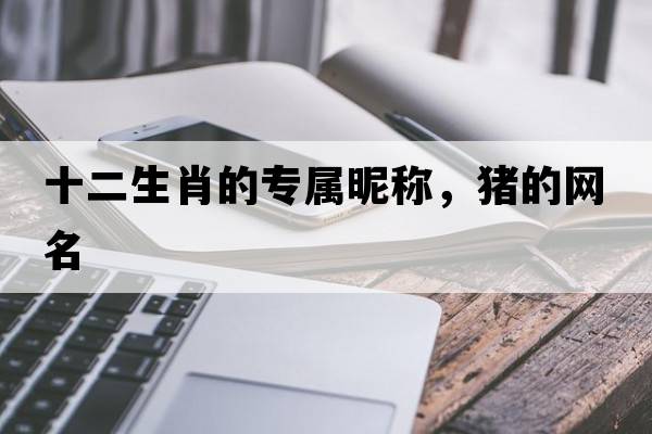 十二生肖的專屬昵稱，豬的網(wǎng)名