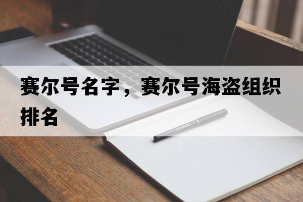 賽爾號名字，賽爾號海盜組織排名