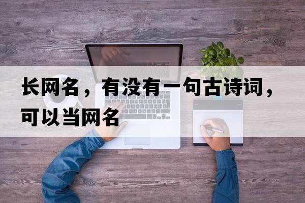 長(zhǎng)網(wǎng)名，有沒(méi)有一句古詩(shī)詞，可以當(dāng)網(wǎng)名