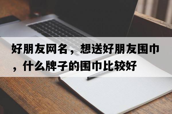 好朋友網(wǎng)名，想送好朋友圍巾，什么牌子的圍巾比較好