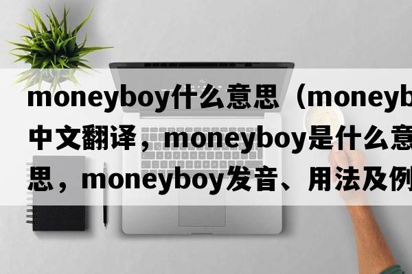 moneyboy什么意思（moneyboy中文翻譯，moneyboy是什么意思，moneyboy發(fā)音、用法及例句）