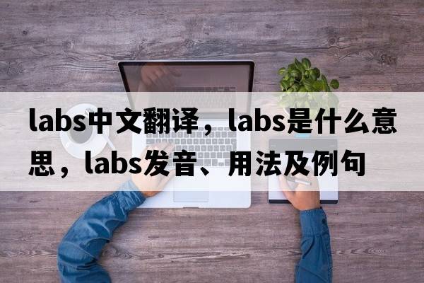 labs中文翻譯，labs是什么意思，labs發(fā)音、用法及例句