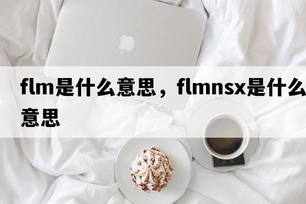 flm是什么意思，flmnsx是什么意思