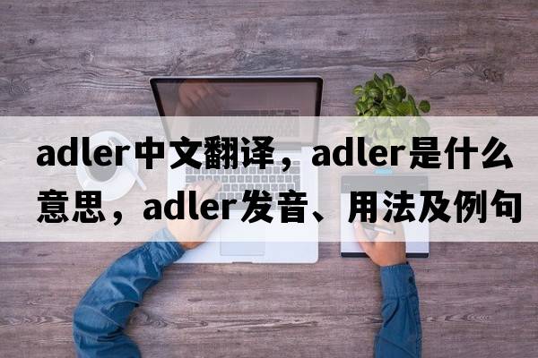 Adler中文翻譯，Adler是什么意思，Adler發(fā)音、用法及例句
