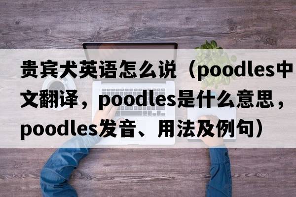 貴賓犬英語怎么說（poodles中文翻譯，poodles是什么意思，poodles發(fā)音、用法及例句）
