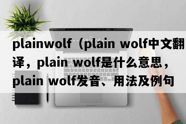 plainwolf（plain wolf中文翻譯，plain wolf是什么意思，plain wolf發(fā)音、用法及例句）