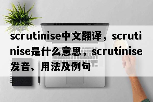 scrutinise中文翻譯，scrutinise是什么意思，scrutinise發(fā)音、用法及例句