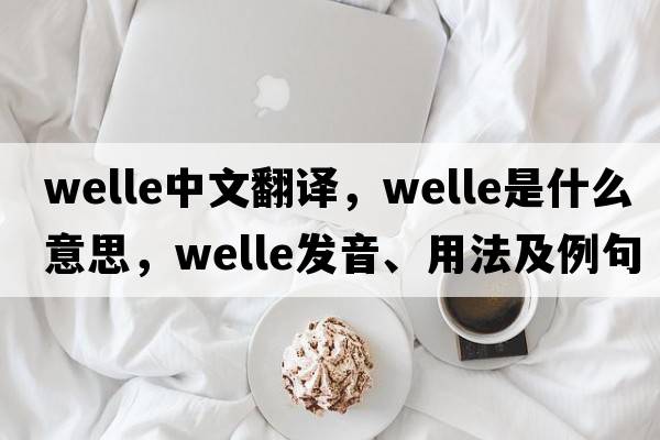 Welle中文翻譯，Welle是什么意思，Welle發(fā)音、用法及例句